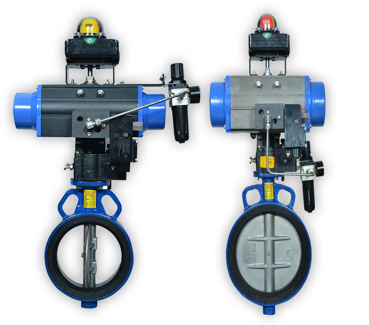 Butterfly Valve Central Disc